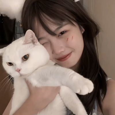 热带战争手游下载