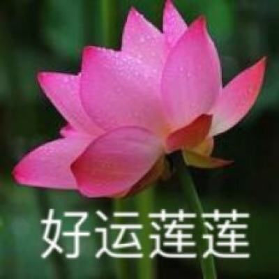 总裁女友手游下载